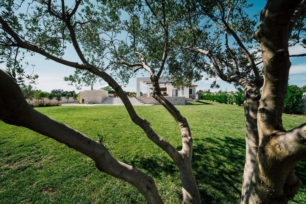 Villa Olivetum Zadar Exterior photo